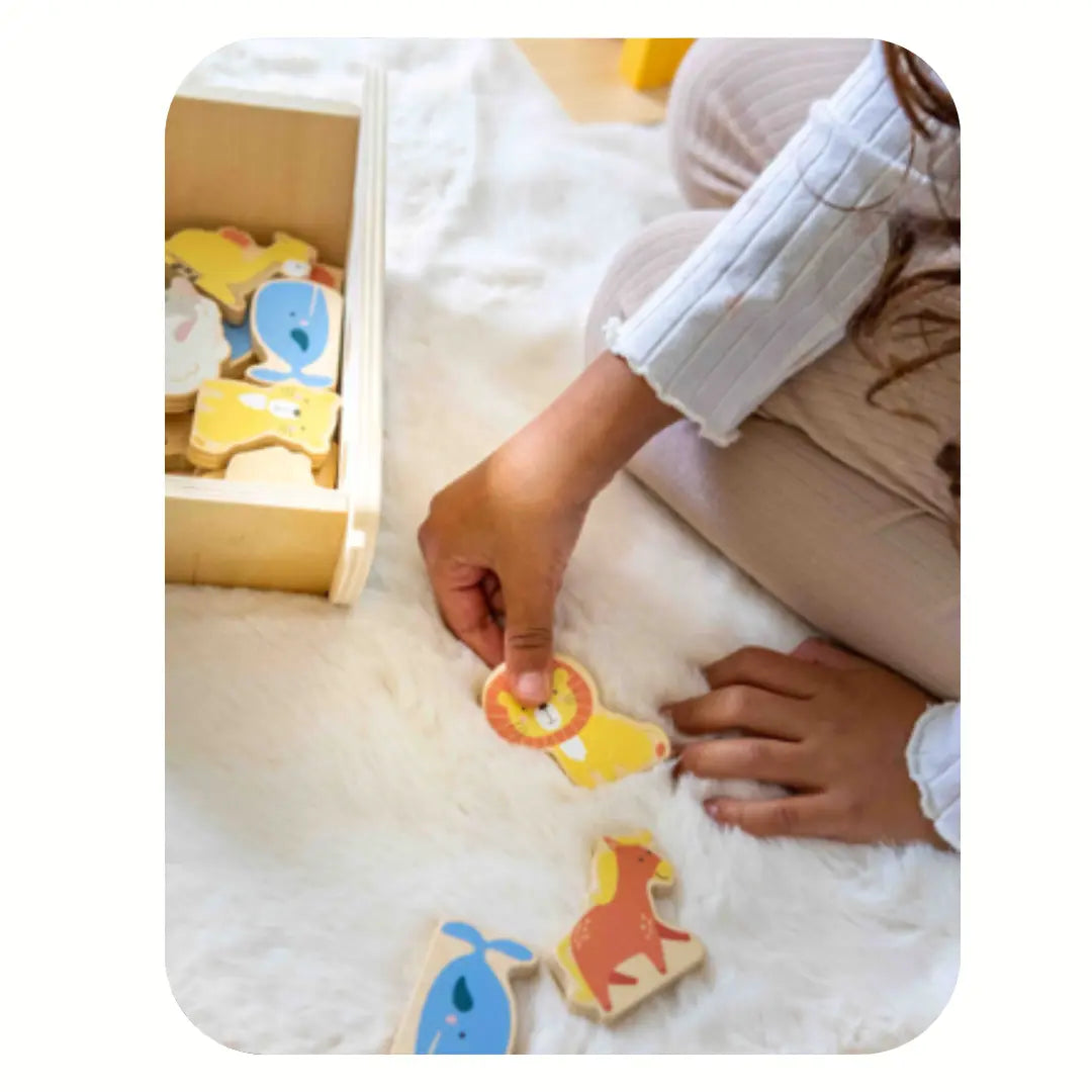 LâArche de Nouh en bois et ses 10 animaux citĂ©es dans le Coran đ - Tasnim